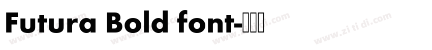 Futura Bold font字体转换